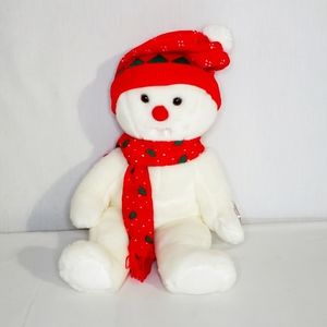 TY Snowboy 1999 Beanie Buddy Vintage Toy Stuffed Animal.